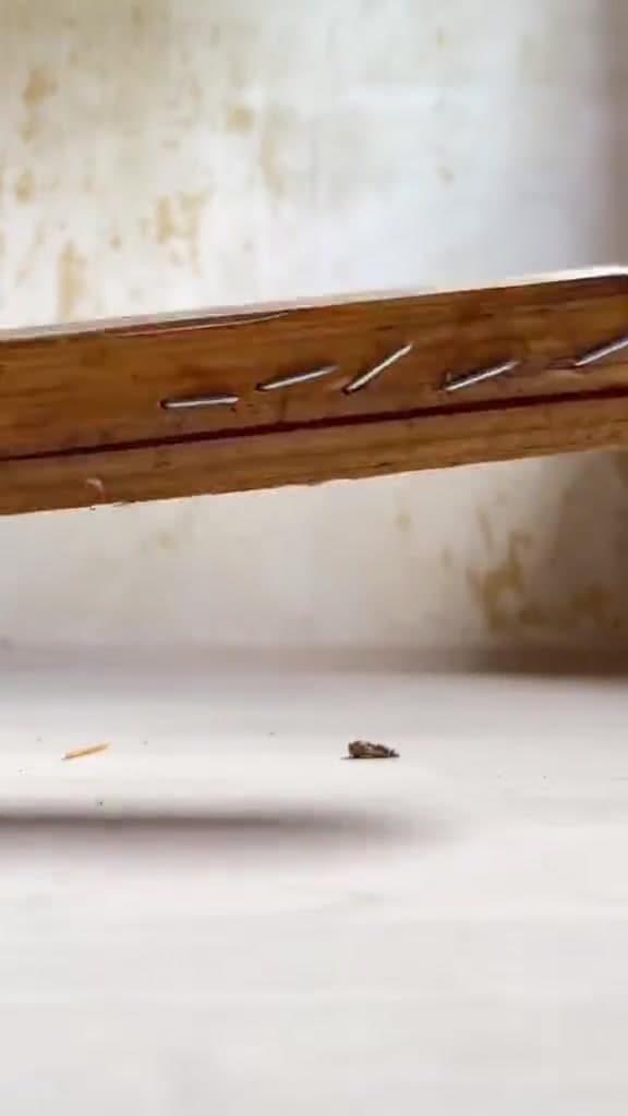 Tabla de madera con clavos hacia arriba preparada para una prueba de perforación